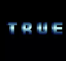 Image n° 4 - screenshots  : True Lies